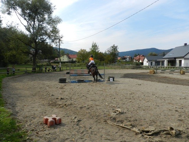 Babie Lato 2016